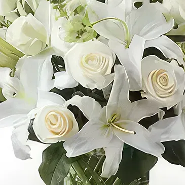 Garhoud flowers  -  Serenity Bunch Flower Bouquet/Arrangement