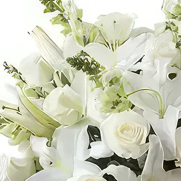 Garhoud flowers  -  Serenity Bunch Flower Bouquet/Arrangement