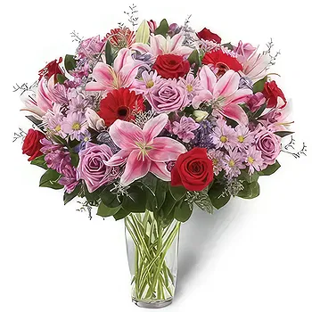 United Arab Emirates flowers  -  Shower of Affection Flower Delivery