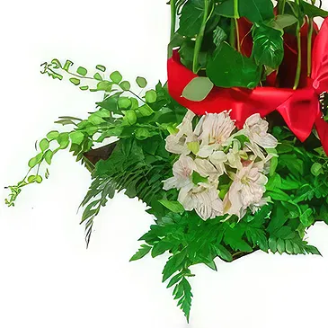 San Jose Santiago flowers  -  Red Roses Romanticism Flower Bouquet/Arrangement