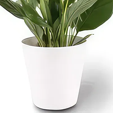Berlin flowers  -  Single Leaf Flower Bouquet/Arrangement