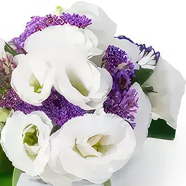 Santa Maria flowers  -  Mini Field Flower Arrangement Flower Bouquet/Arrangement