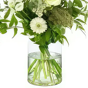 Amsterdam-Zuidoost flowers  -  Snow White Flower Bouquet/Arrangement