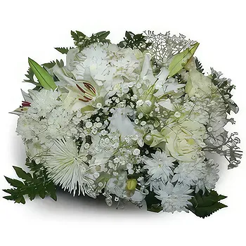 Antias flowers  -  Purity Flower Delivery