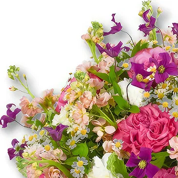 United Arab Emirates flowers  -  Soft Pink and White Bouquet  Flower Bouquet/Arrangement