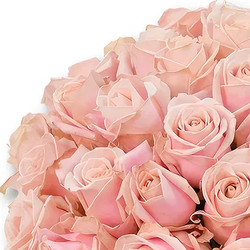 Garhoud flowers  -  Soft Pink Rose Arrangement Flower Bouquet/Arrangement