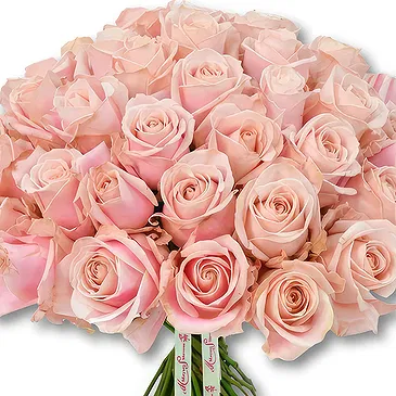 Garhoud flowers  -  Soft Pink Rose Arrangement Flower Bouquet/Arrangement