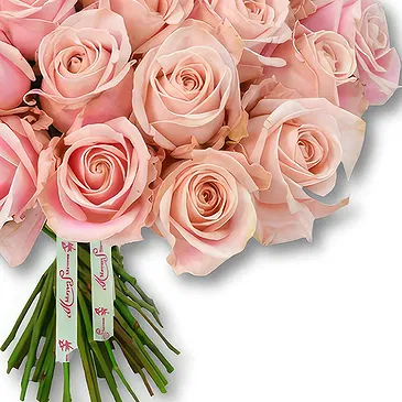 Garhoud flowers  -  Soft Pink Rose Arrangement Flower Bouquet/Arrangement