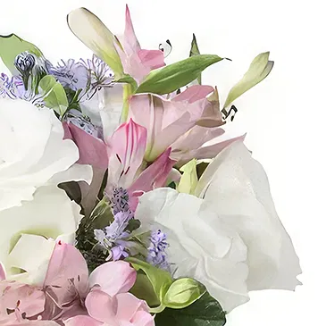 flores de Brasília- Arranjo de Flores de Campo em Tons Suaves Bouquet/arranjo de flor