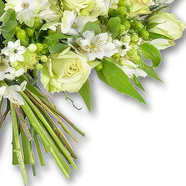 Garhoud flowers  -  Soft White Rose Bouquet with Hydrangeas Flower Bouquet/Arrangement