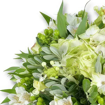 Garhoud flowers  -  Soft White Rose Bouquet with Hydrangeas Flower Bouquet/Arrangement