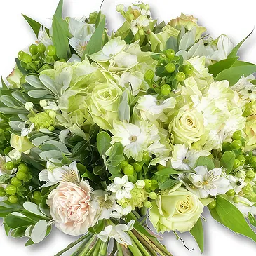 Garhoud flowers  -  Soft White Rose Bouquet with Hydrangeas Flower Bouquet/Arrangement