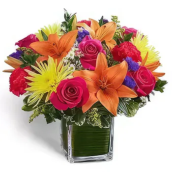 United Arab Emirates flowers  -  Solace in Color Flower Delivery