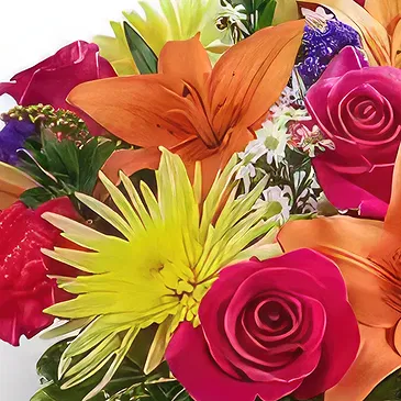 Umm Al Quwain flowers  -  Solace in Color Flower Bouquet/Arrangement