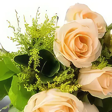 Amsterdam flowers  -  Be Charmed Flower Bouquet/Arrangement
