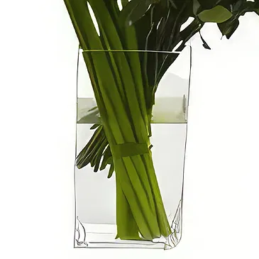 ดอกไม้  - Calla & Roses ช่อดอกไม้/การจัดวางดอกไม้