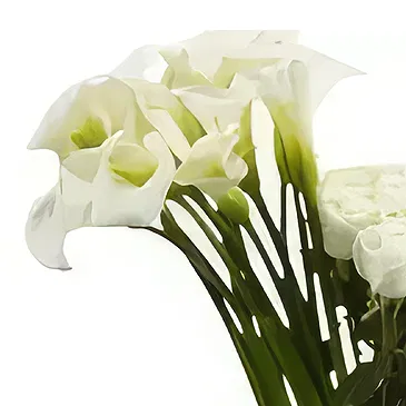 ดอกไม้  - Calla & Roses ช่อดอกไม้/การจัดวางดอกไม้