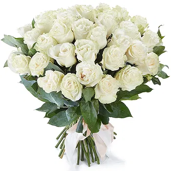 Holland flowers  -  20 White Roses Flower Delivery