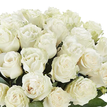 Tumba blomster- 20 hvide roser Blomst buket/Arrangement