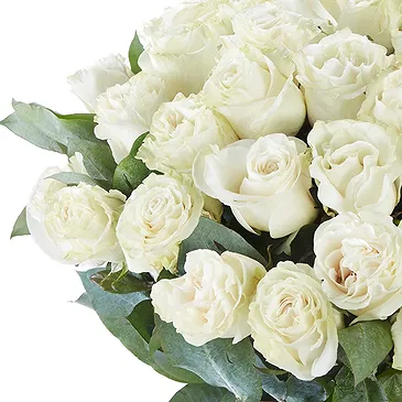 Tumba blomster- 20 hvide roser Blomst buket/Arrangement