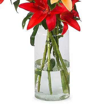 Amsterdam flowers  -  Red Gift Flower Bouquet/Arrangement