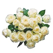Vanlose online Florist - Timeless White  Bouquet