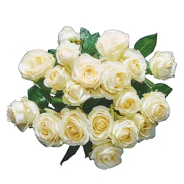 Dänemark Blumen Florist- Zeitloses Weiß Bouquet/Blumenschmuck