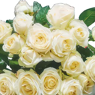 Dänemark Blumen Florist- Zeitloses Weiß Bouquet/Blumenschmuck