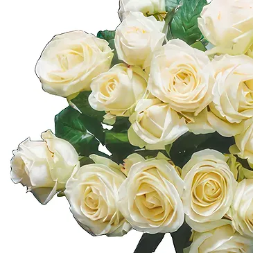 Dänemark Blumen Florist- Zeitloses Weiß Bouquet/Blumenschmuck