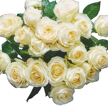 Dänemark Blumen Florist- Zeitloses Weiß Bouquet/Blumenschmuck