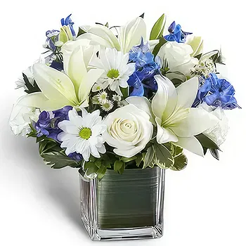 United Arab Emirates flowers  -  Sorrow Healing Flower Delivery