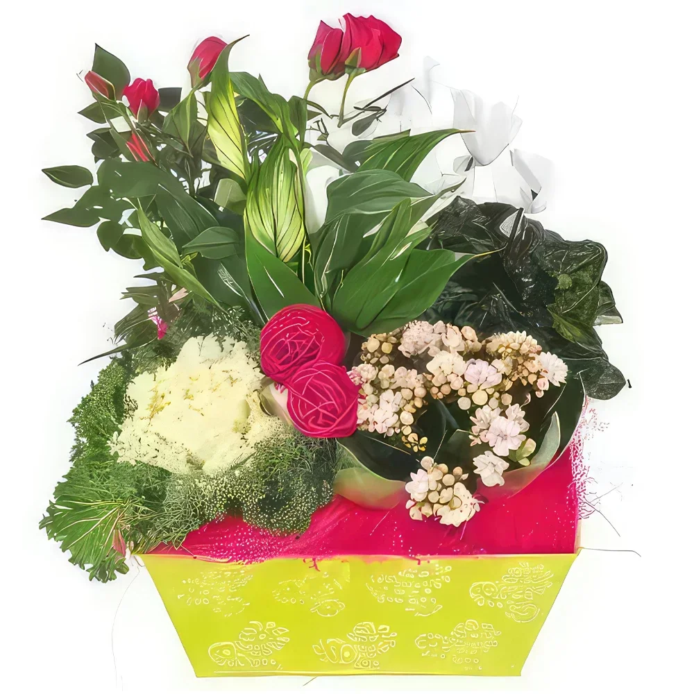 بائع زهور مونبلييه- تكوين تذكاري أبيض ، وردي ، فوشيا باقة الزهور