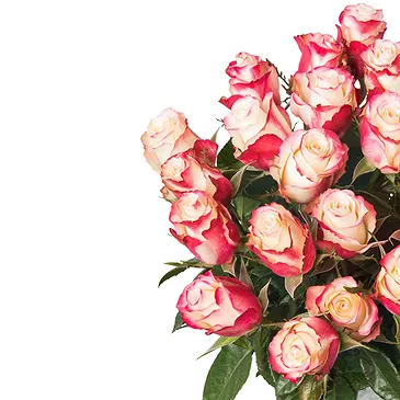 fiorista fiori di Firenze- Bouquet di rose maculate rosse o rosa Bouquet floreale