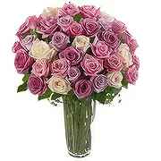 Ad Dilam Online blomsterbutikk - Blandede roser Bukett