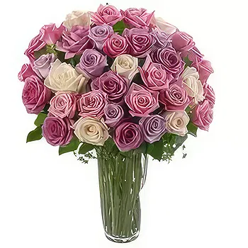 Saudi Arabia flowers  -  Mixed roses Flower Delivery