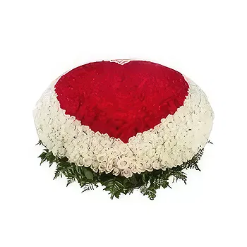 Saudi Arabia flowers  -   600 Roses  Flower Delivery
