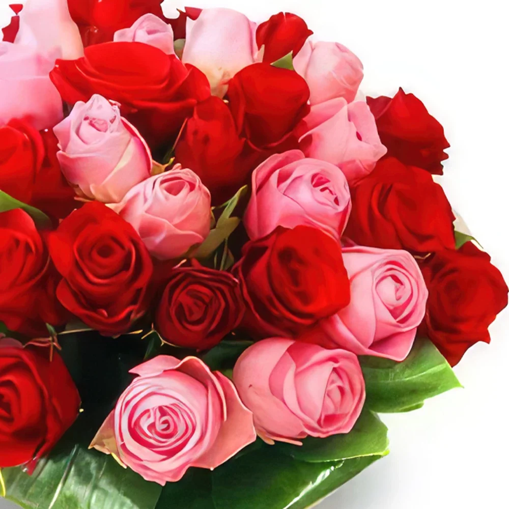 Polandia bunga- Merah Muda & Mawar Rangkaian bunga karangan bunga