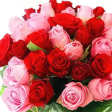 Lublin flowers  -  Pink & Roses Flower Bouquet/Arrangement