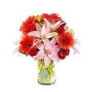 Oman online Florist - Sangria Bouquet