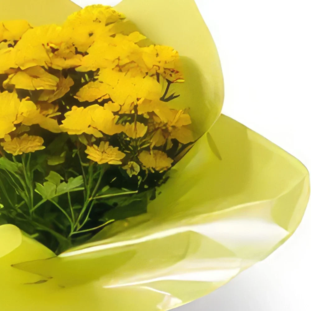 Brazil bunga- Vas Hadiah Aster Rangkaian bunga karangan bunga