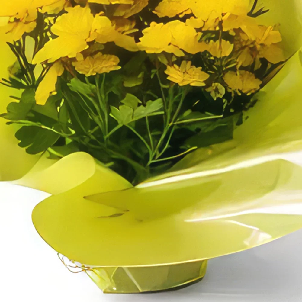 Fortaleza flowers  -  Gift Vase of Daisies Flower Bouquet/Arrangement