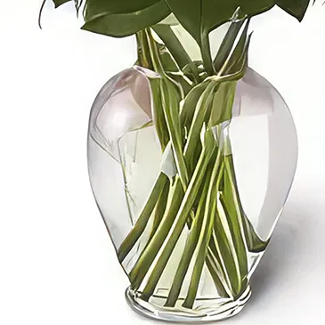 Madinat Al Mataar flowers  -  Spring Fresh Flower Bouquet/Arrangement