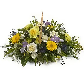 Antias flowers  -  Numerous Blossoms Flower Delivery