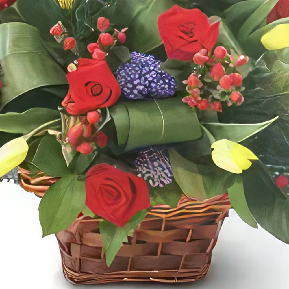 Krakow cvijeća- 15 crvenih ruža Cvjetni buket/aranžman