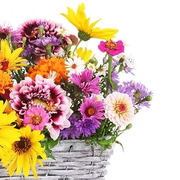fiorista fiori di Firenze- Cesto di fiori di campo colorati Bouquet floreale