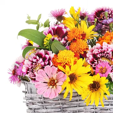 fiorista fiori di Firenze- Cesto di fiori di campo colorati Bouquet floreale