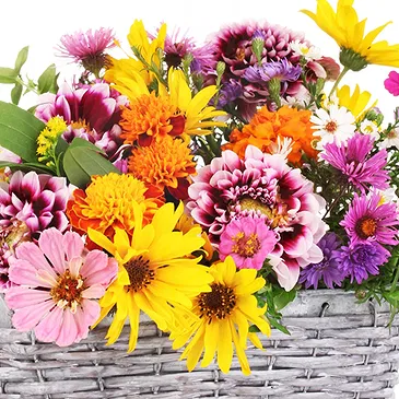 fiorista fiori di Firenze- Cesto di fiori di campo colorati Bouquet floreale
