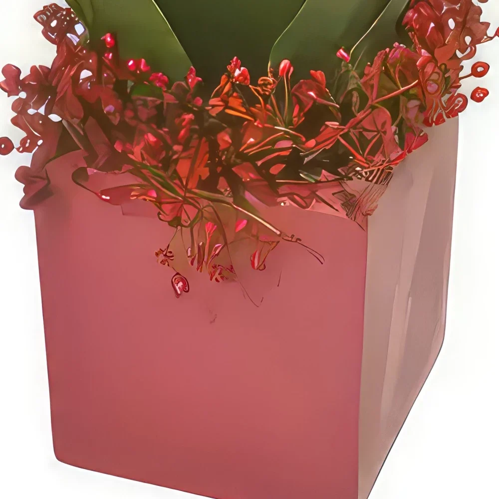 몽펠리에 꽃- 빨간 장미의 정사각형 구성 꽃다발/꽃꽂이