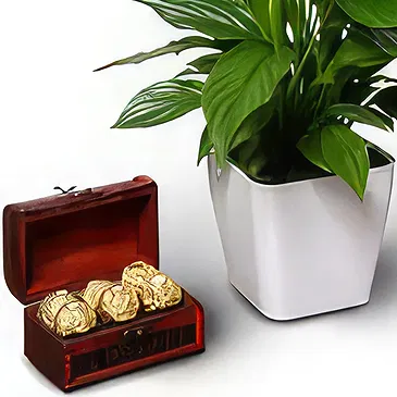 Buangkok flowers  -  Presents and Chuckles Flower Bouquet/Arrangement
