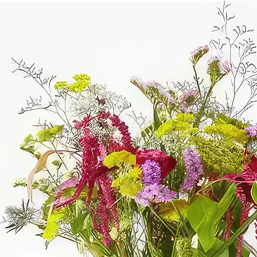 Aalborg blomster- Tørr bukett Blomsterarrangementer bukett